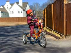 Freedom Concepts DCP16  Adaptive Bike