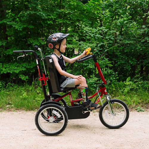 Freedom Concepts DCP16  Adaptive Bike