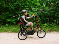Freedom Concepts DCP16  Adaptive Bike