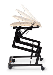 Rifton Adaptive Desk