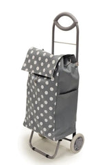 Rolling Shopping cart