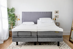 Harmony Hi-Low Adjustable Bed